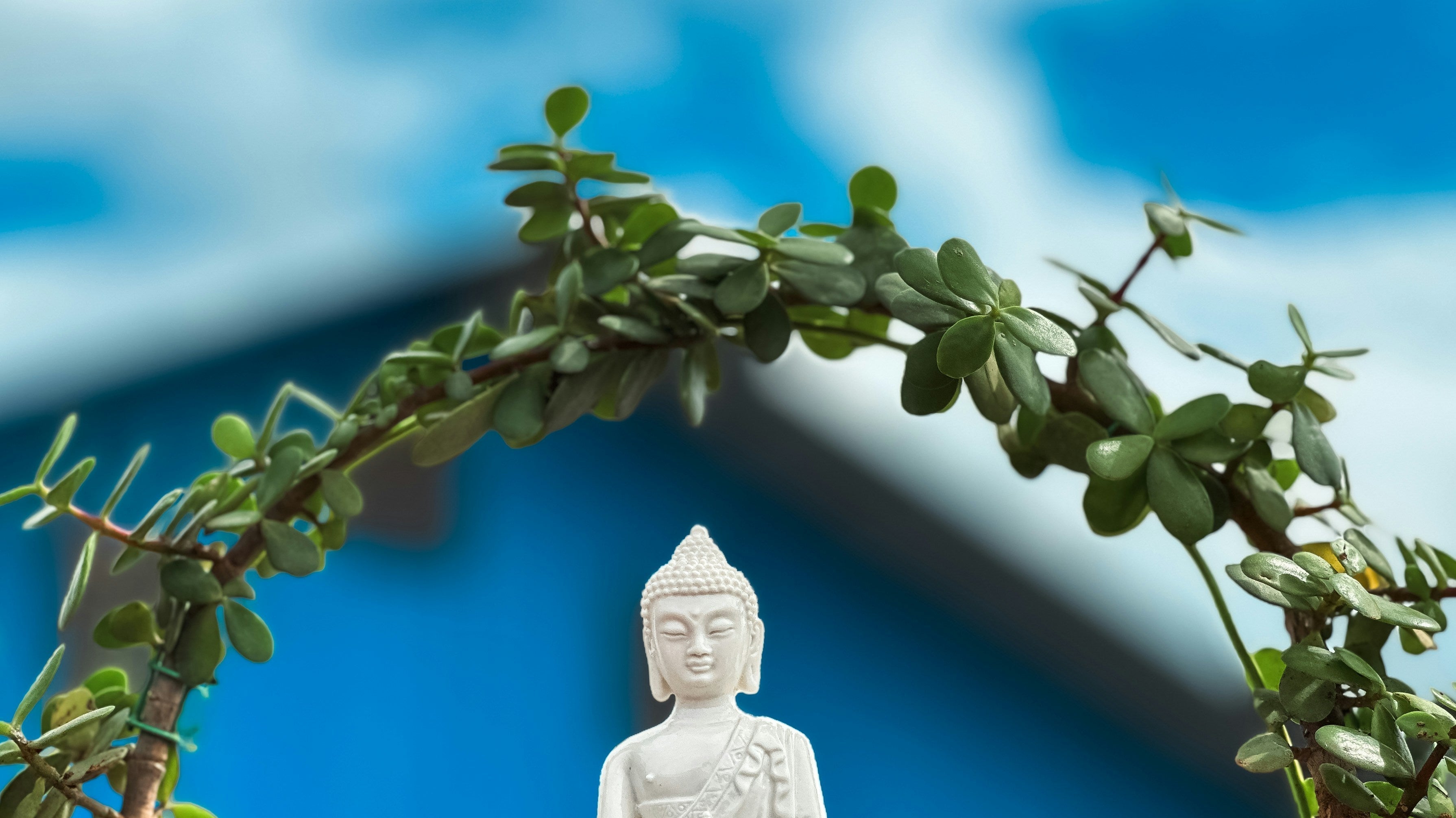 White Jade Necklace Trends You’ll Love This Fall